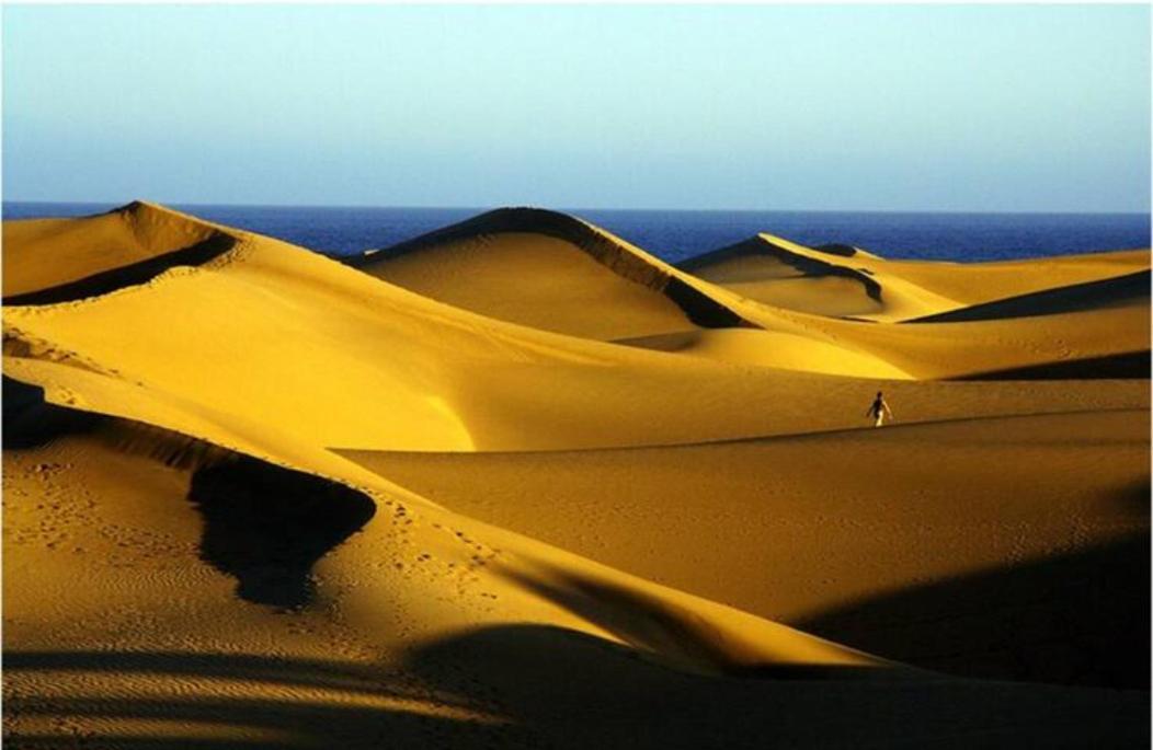 Huoneisto Paraiso *