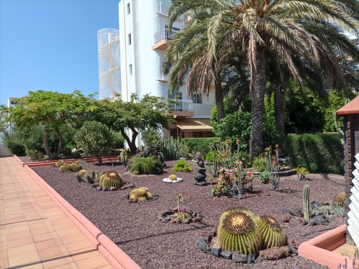 Apartamento Lightbooking Tenesor 115 Playa Del Ingles *