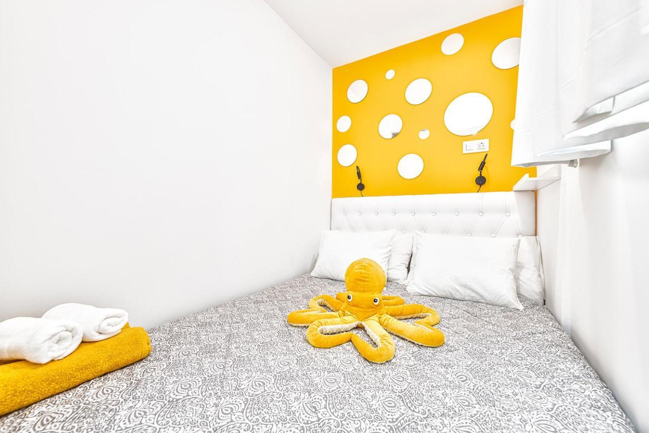 Pulpo Amarillo Apartamento