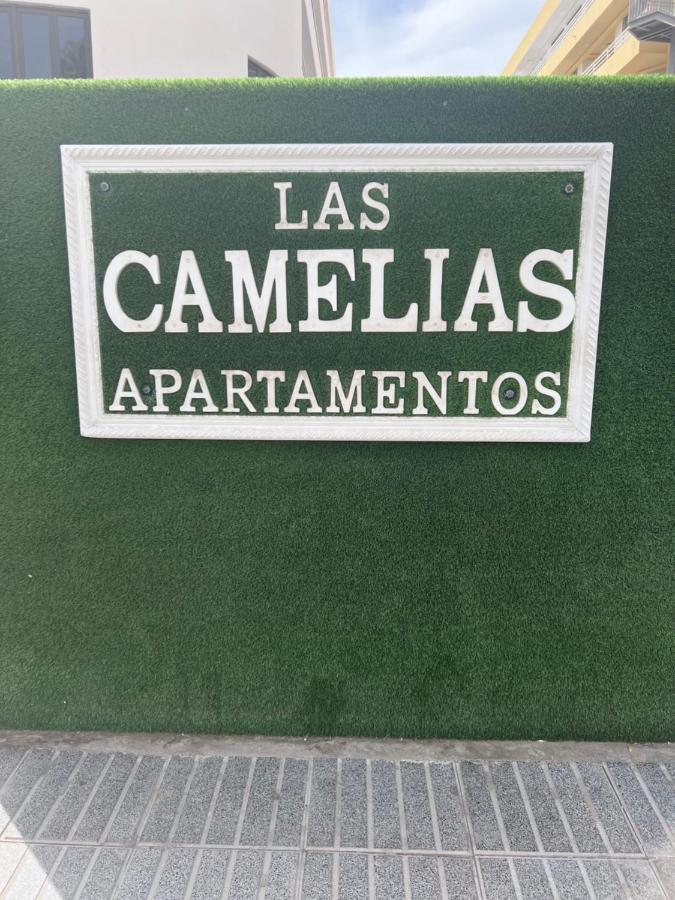 Apartamento Yumbo Camelias Playa del Inglés
