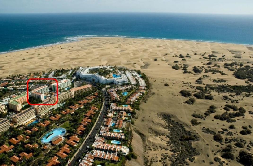 Palm Trees View Of The Dunes Appartement *