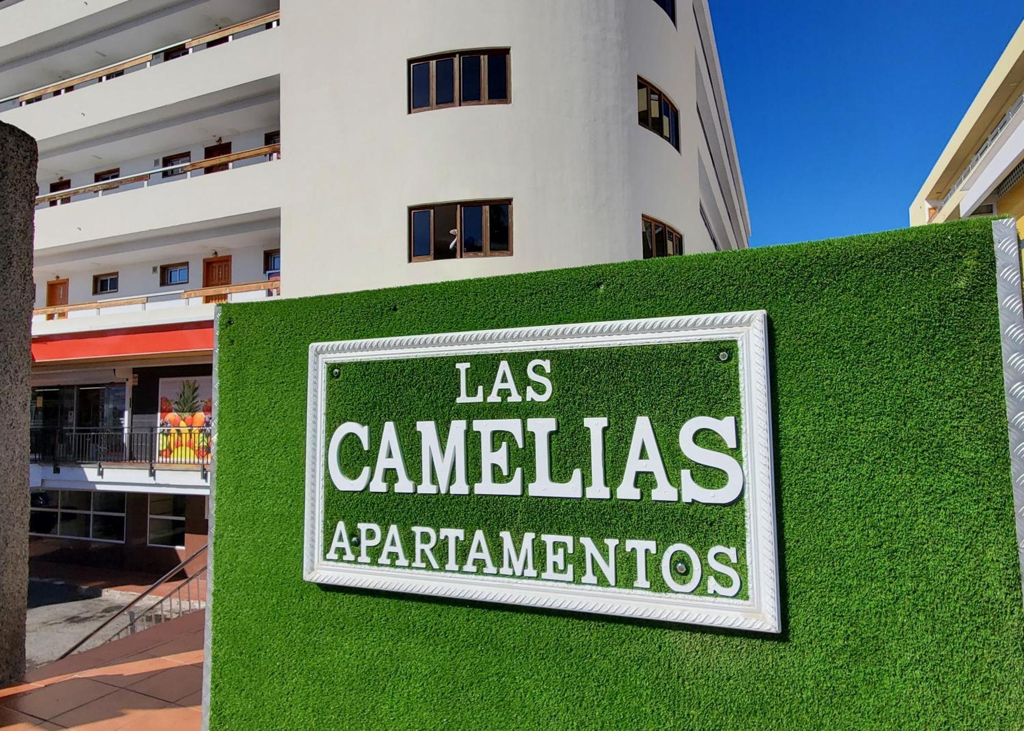 Appartement Camelias Ci17 *