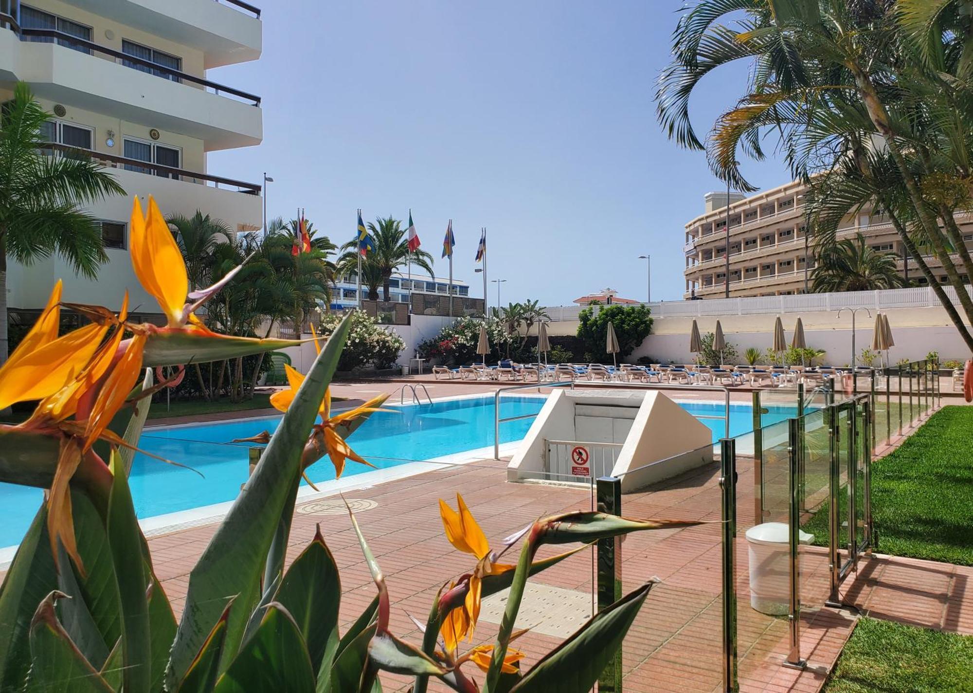 Camelias Ci17 * Playa del Inglés