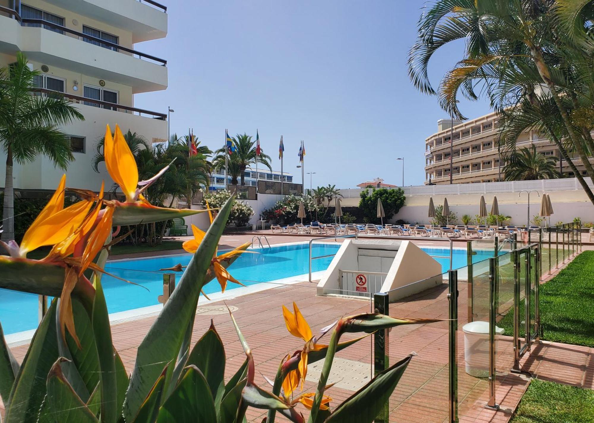 Camelias C14 Apartment Playa del Inglés