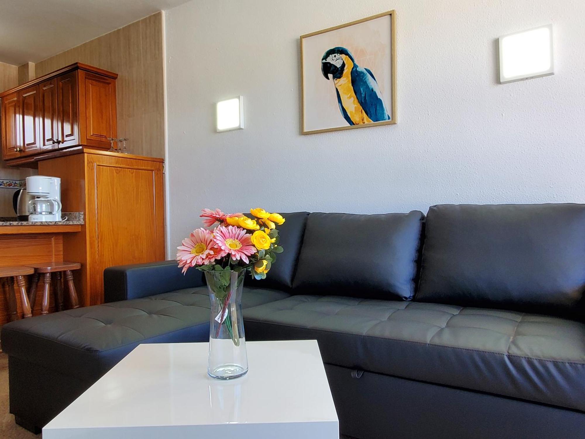 Apartment Camelias C14 Playa del Inglés