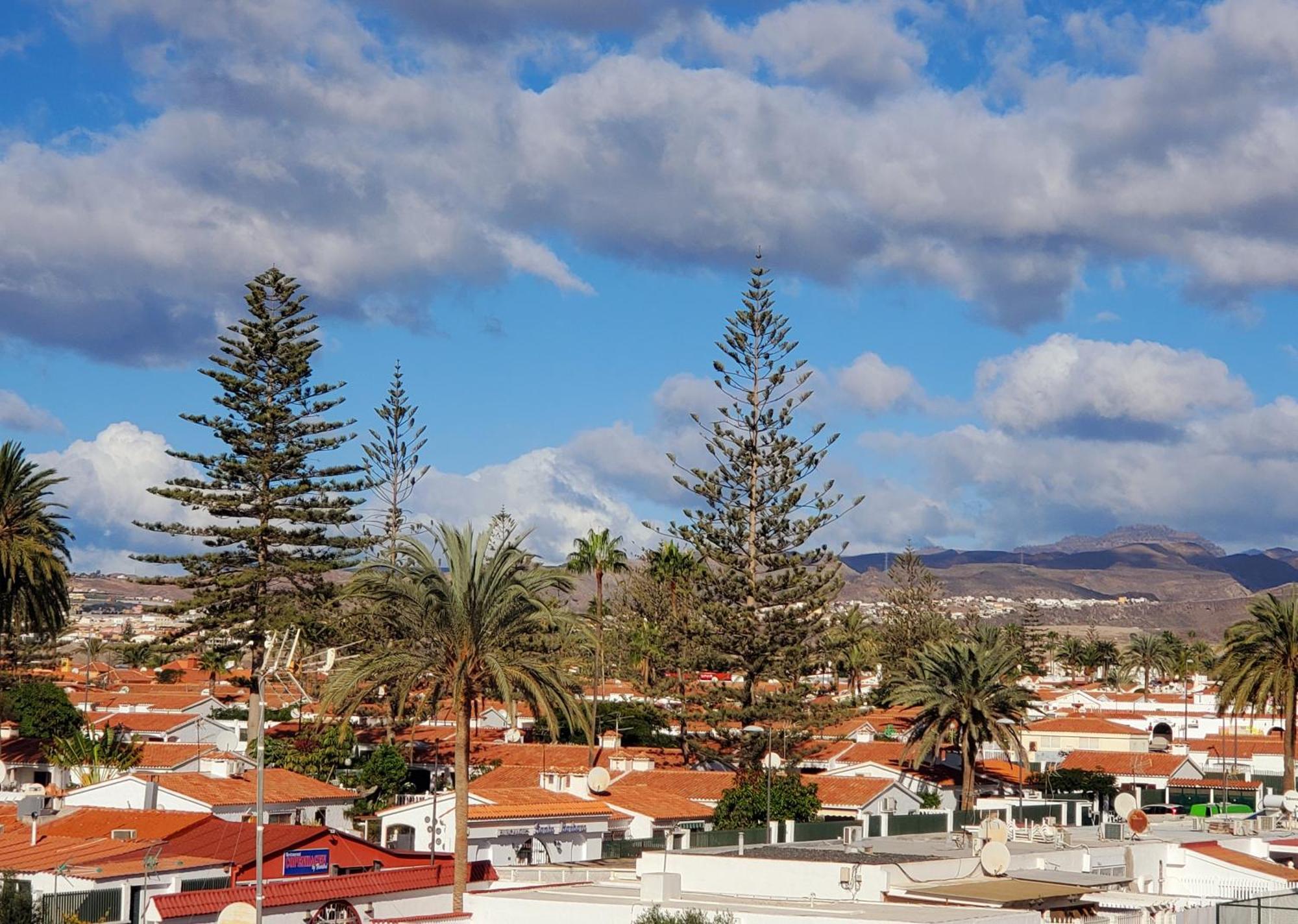 Camelias C14 Playa del Inglés