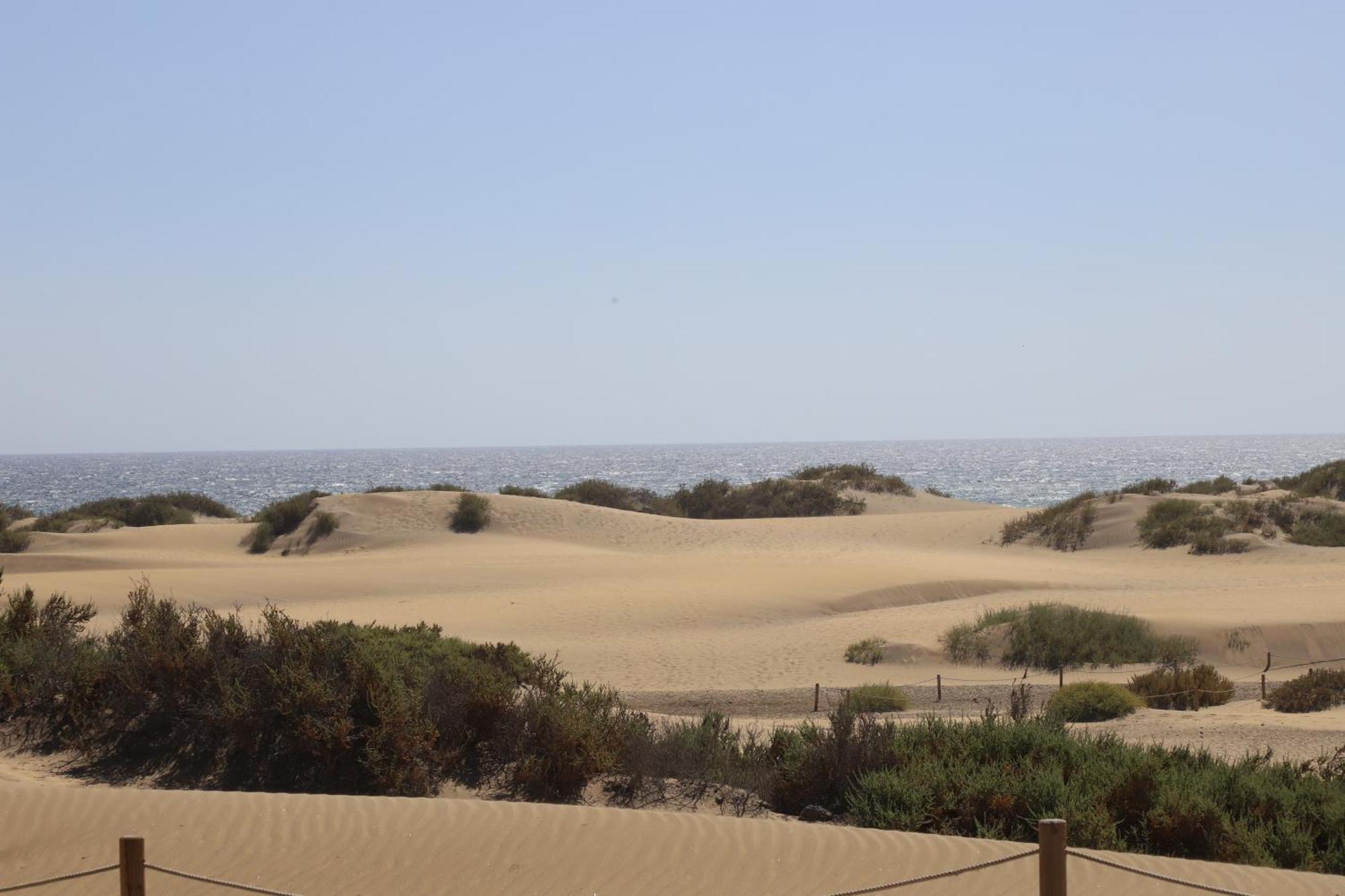 Apartment Confortevole Playa del Ingles (Gran Canaria)