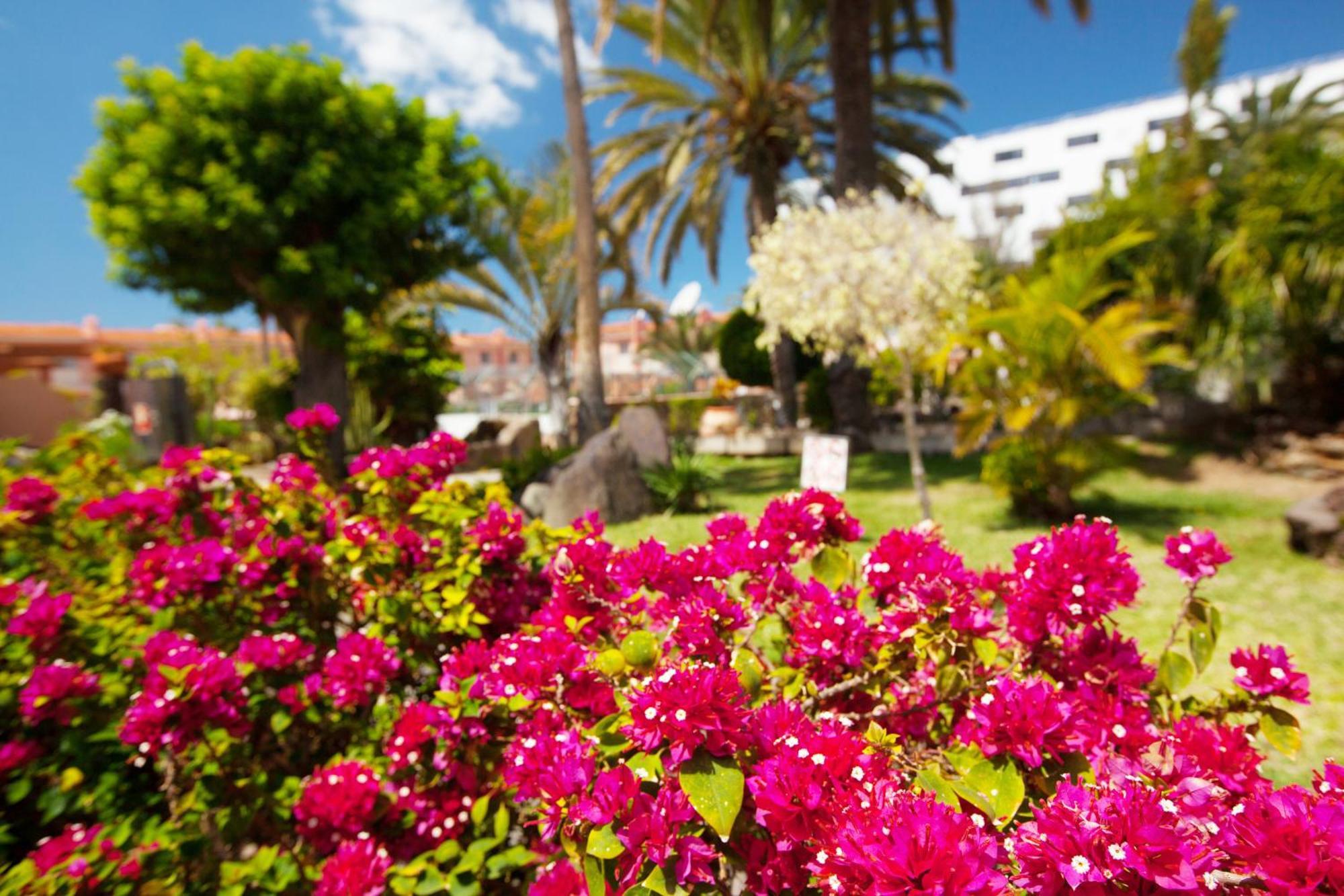 Sholeo Lodges Maspalomas *