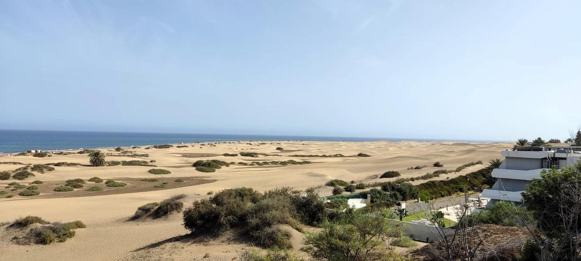 Dalius - With Pool Near The Dunes Of Maspalomas Apartment *