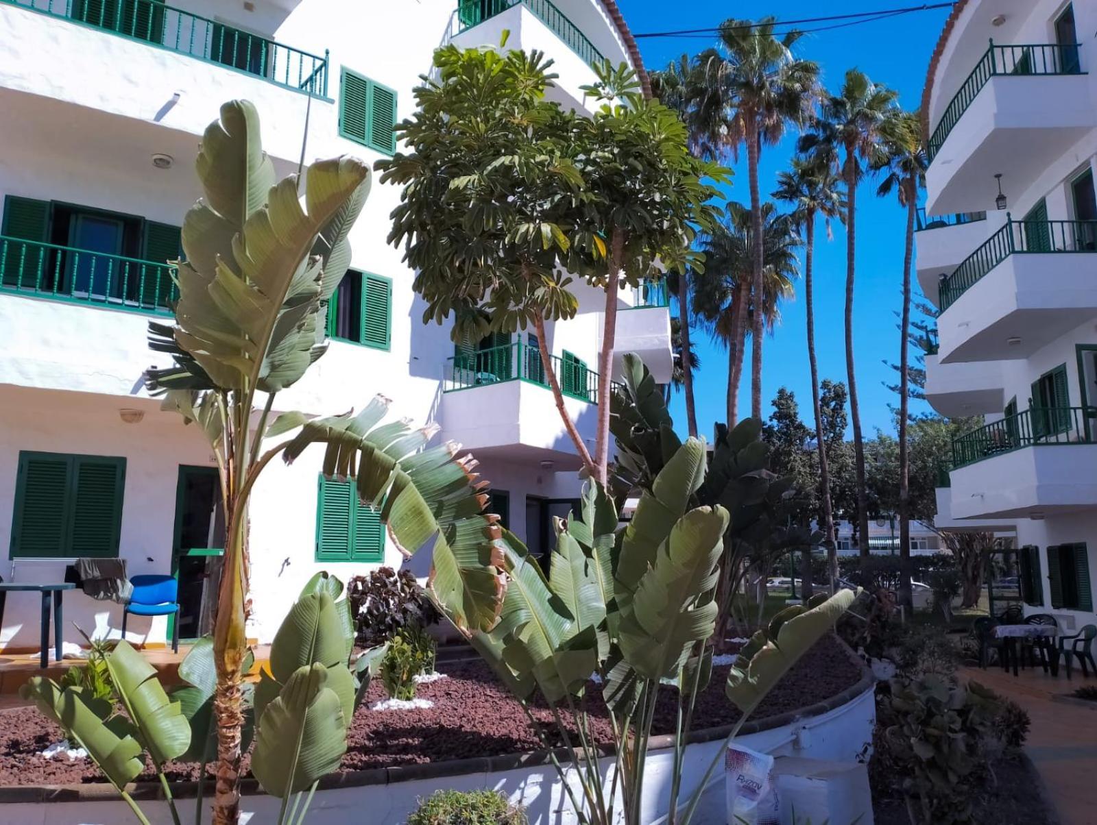 Canarian Havaii En Faluas * Playa del Inglés