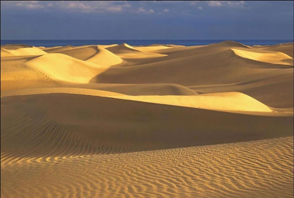 Playmar