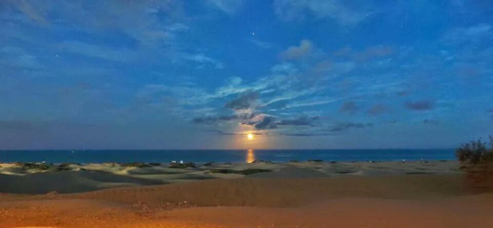 Huoneisto Maspalomas Dunes