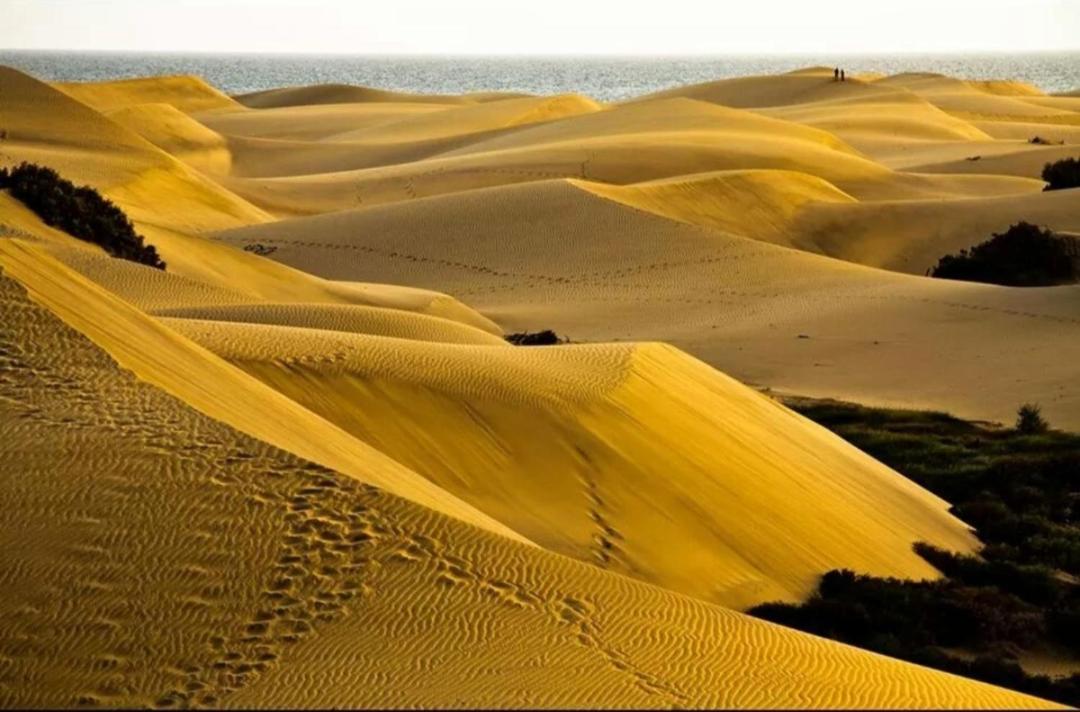 Maspalomas Dunes Huoneisto Playa del Inglés