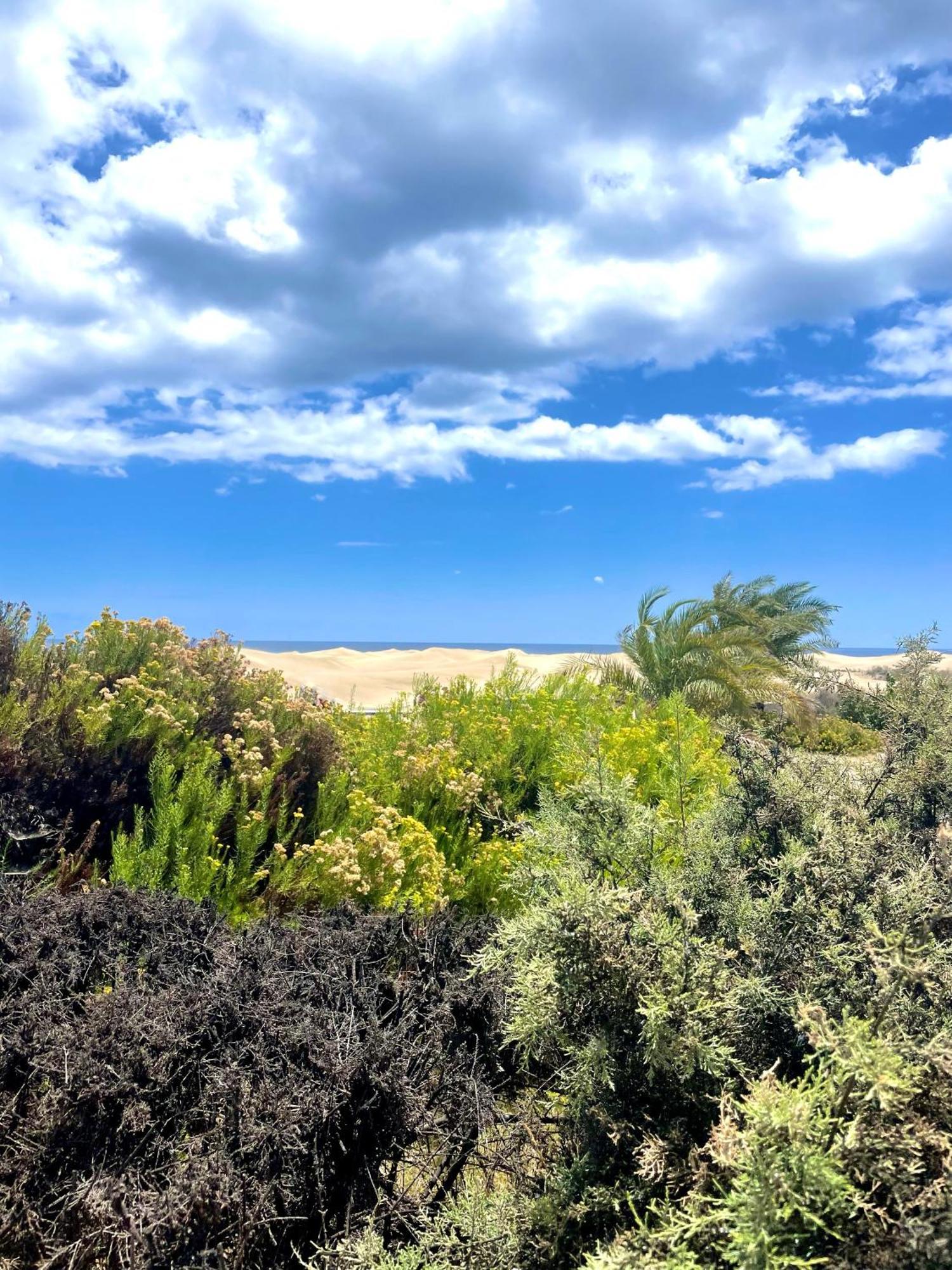 Moon Dunes - By Yumbo Center - * Playa del Inglés
