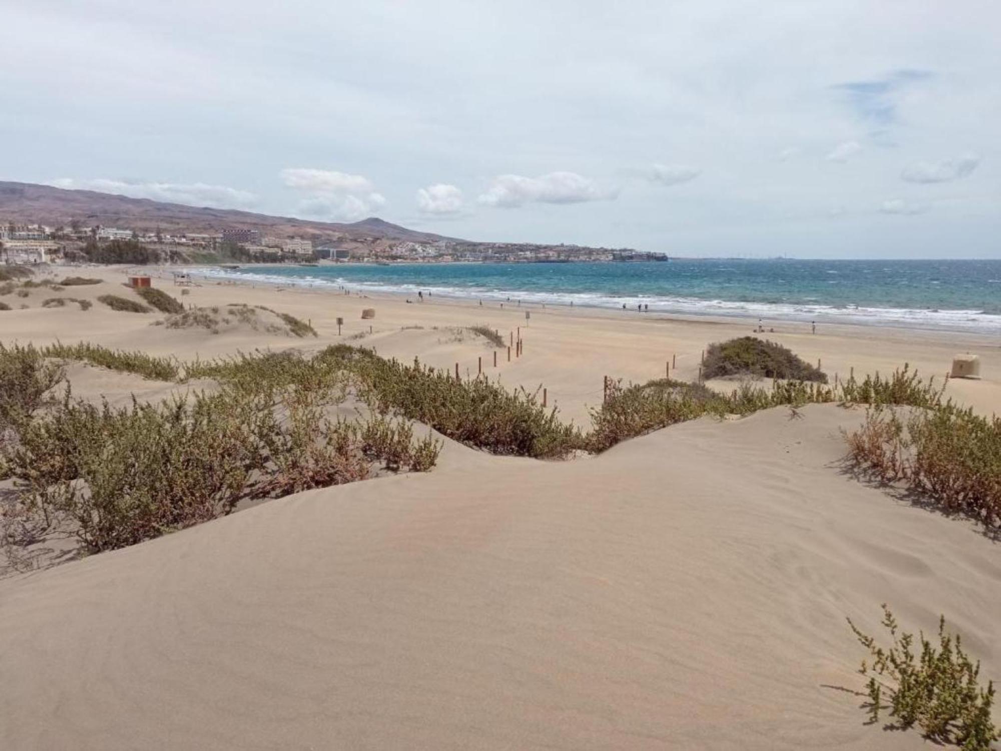 El Nido De Angeles * Playa del Ingles (Gran Canaria)