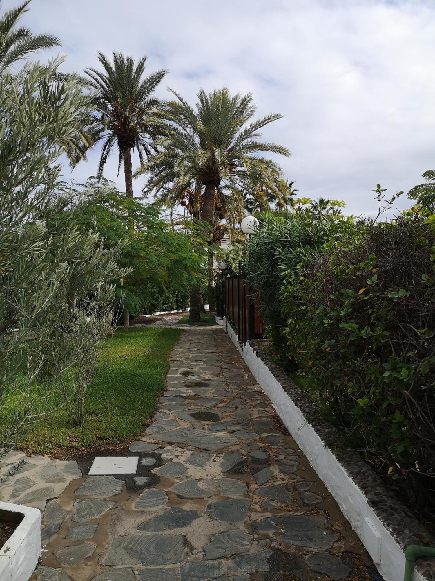 Casa Celi * Playa del Ingles (Gran Canaria)