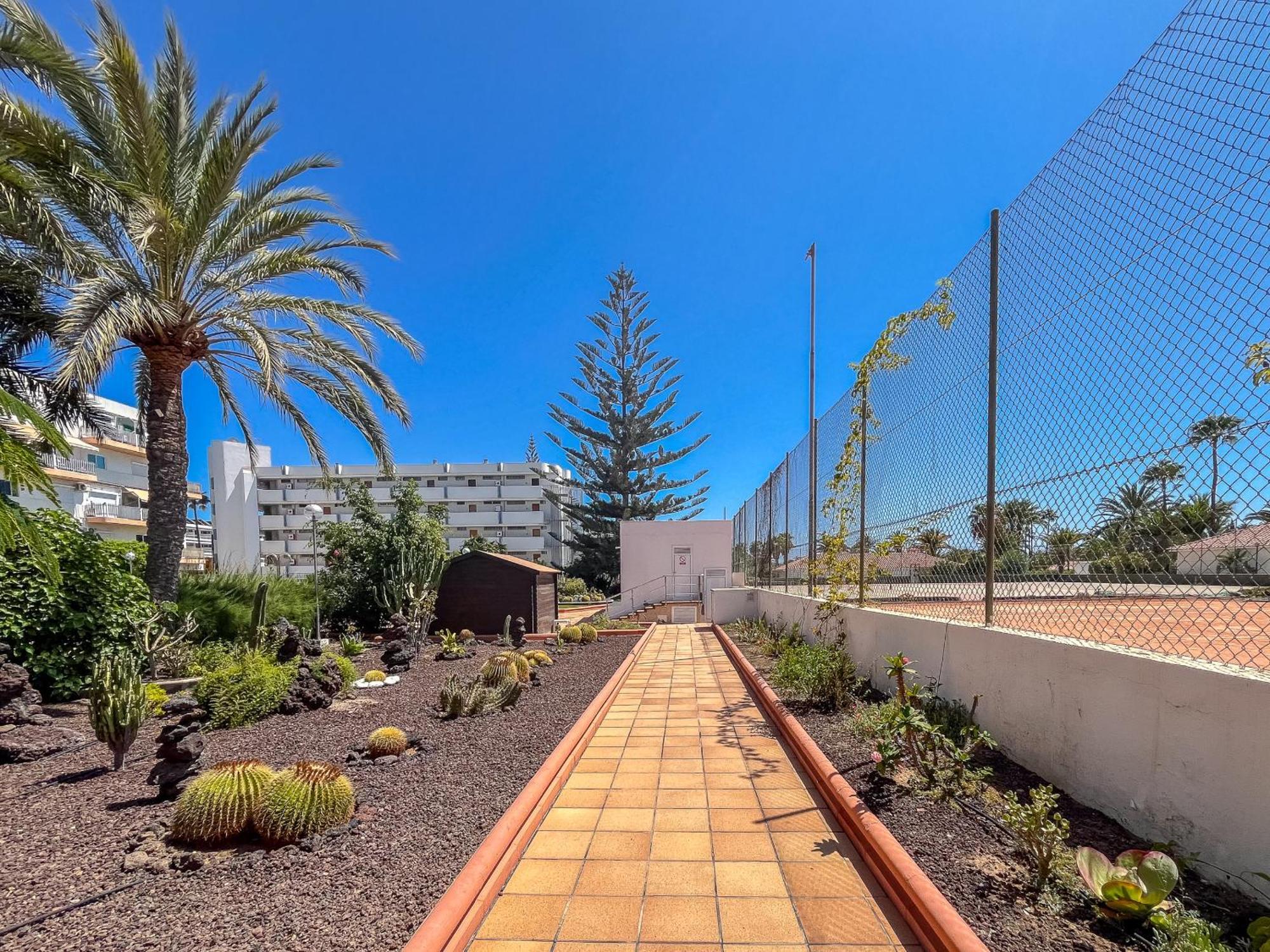 Lightbooking Tenesor 306 * Playa del Ingles (Gran Canaria)