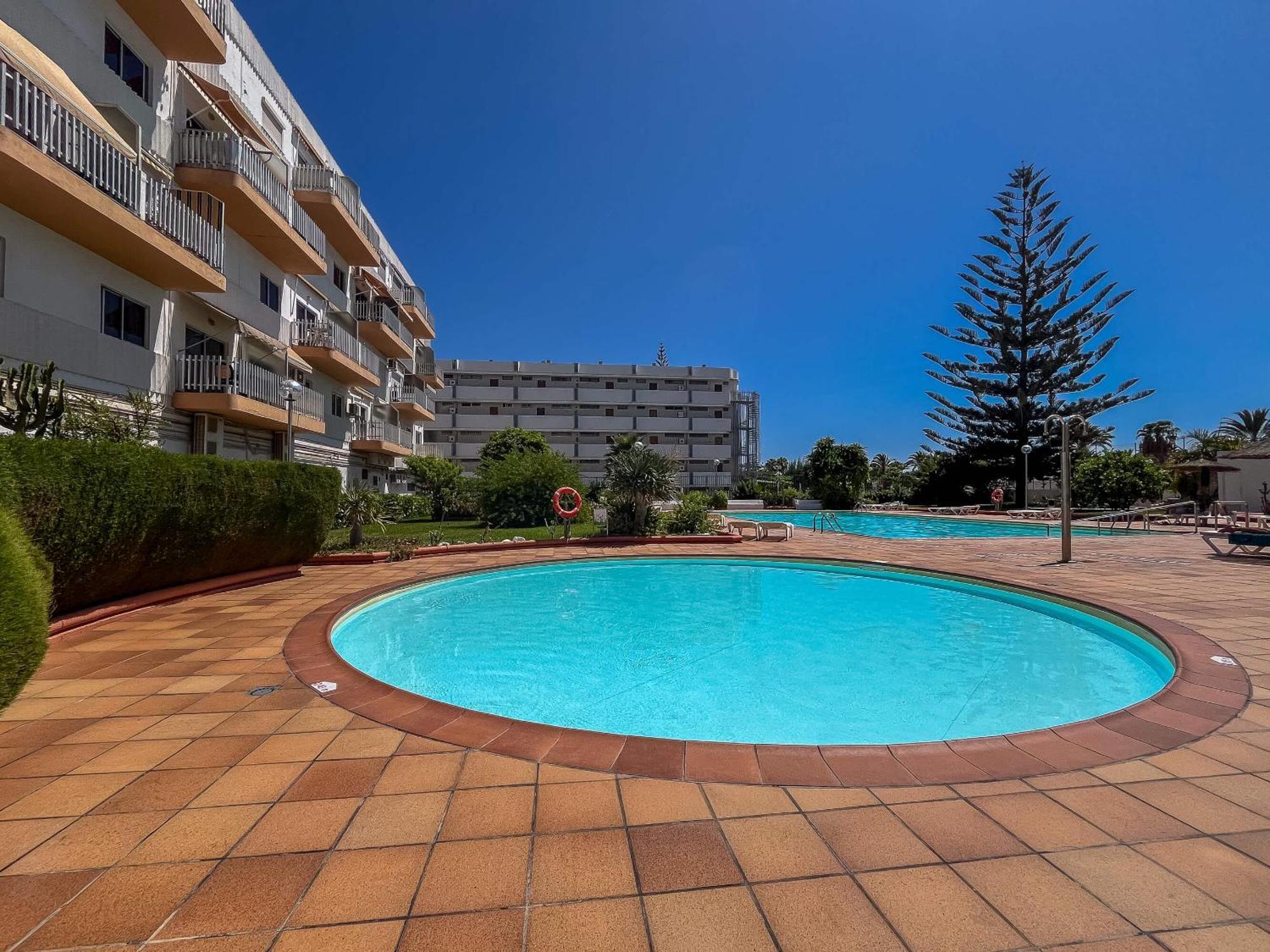 Apartment Lightbooking Tenesor 115 Playa Del Ingles *