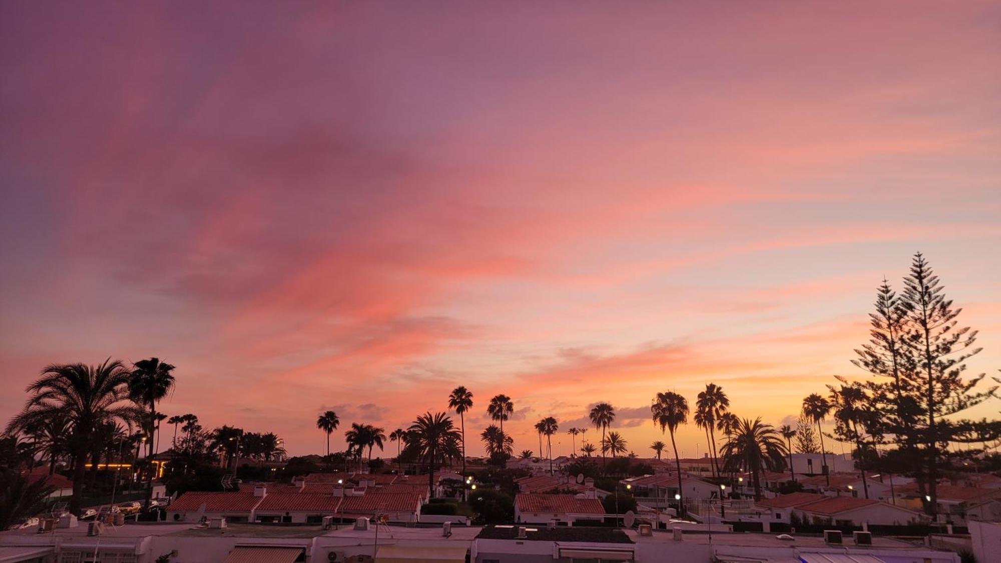 Palm View Camelias * Playa del Ingles (Gran Canaria)