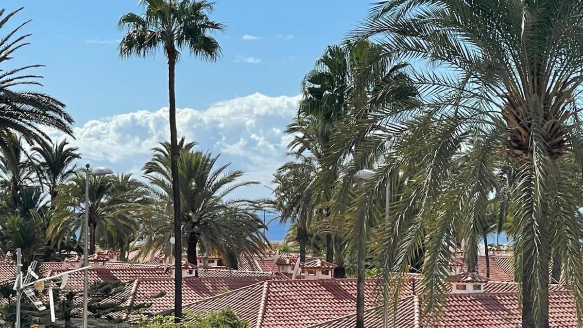 Palm View Camelias * Playa del Ingles (Gran Canaria)