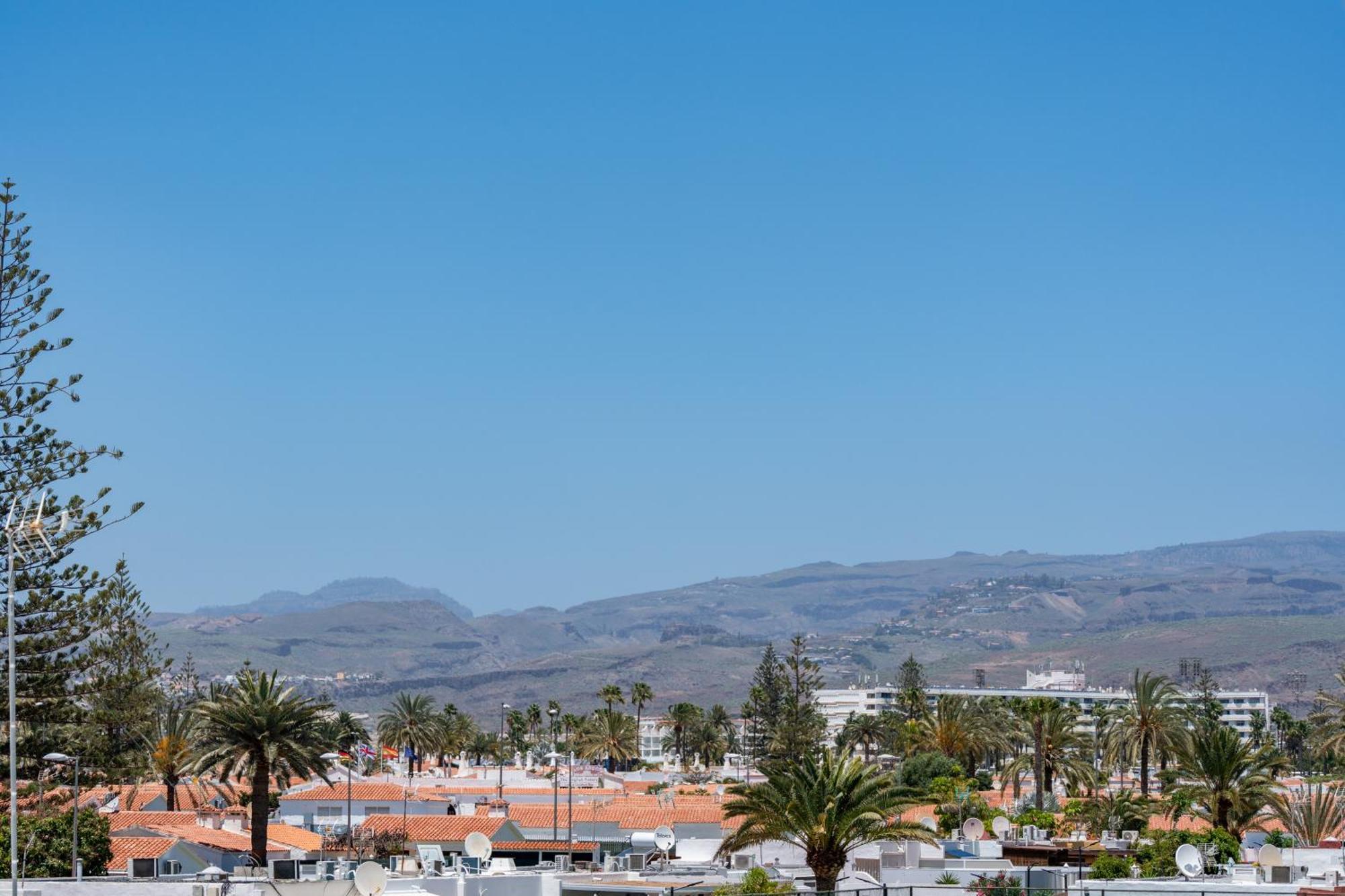Apartment Palm View Camelias Playa del Ingles (Gran Canaria)