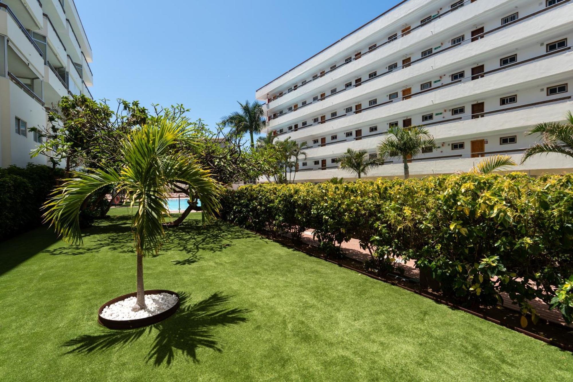 Apartment Palm View Camelias
