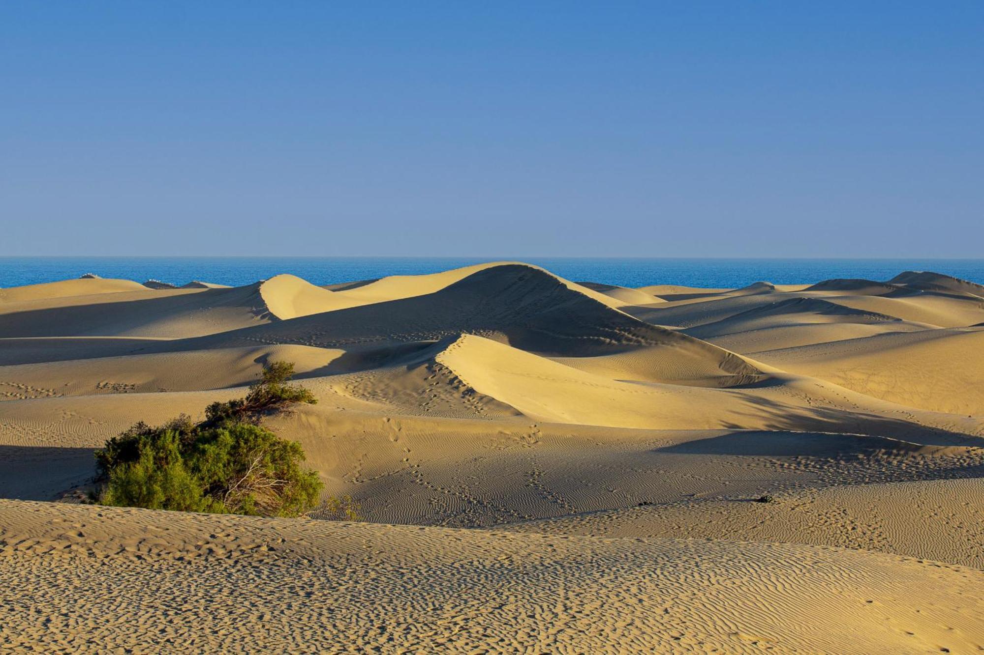 Apartment Soundproof With Sea View In Maspalomas Playa del Inglés