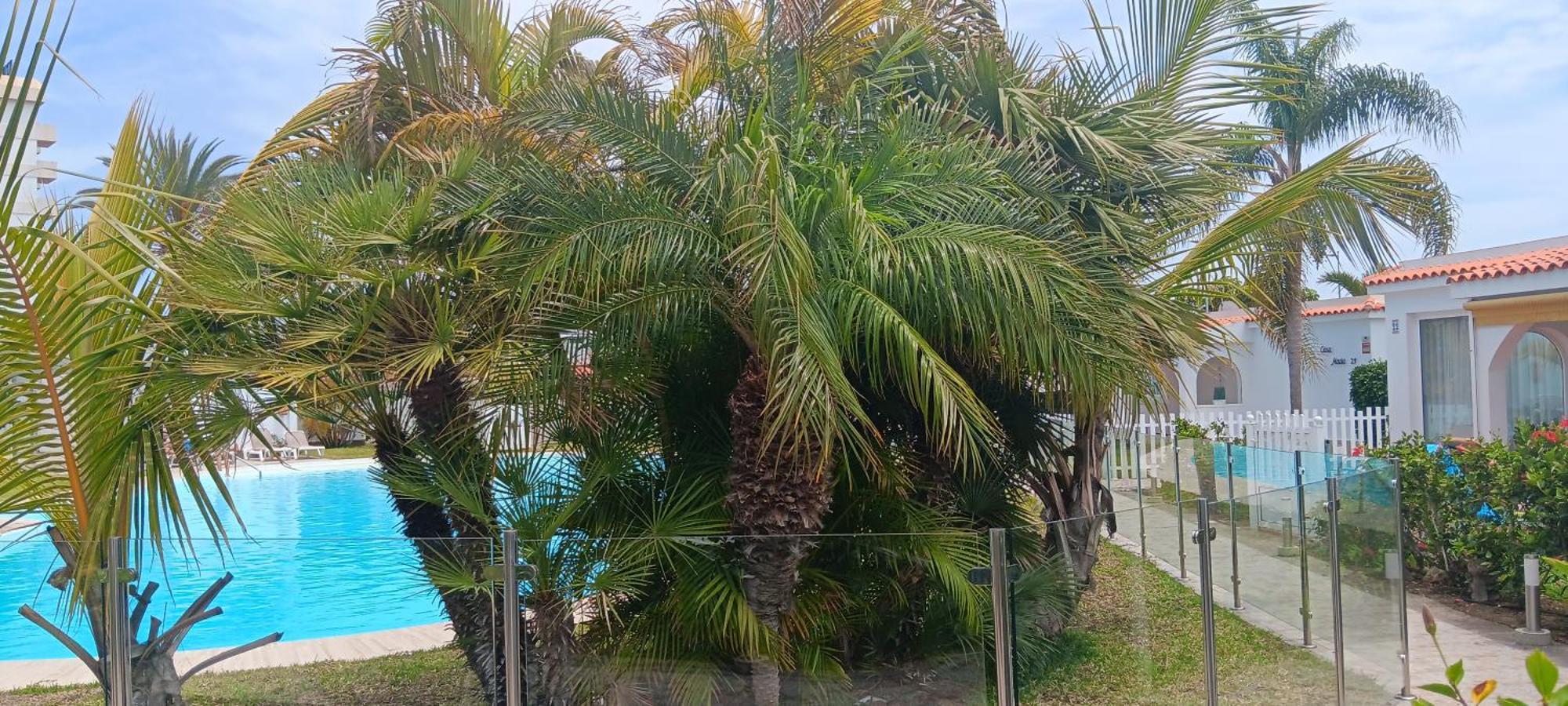 Tirma Ferienhaus Playa del Inglés