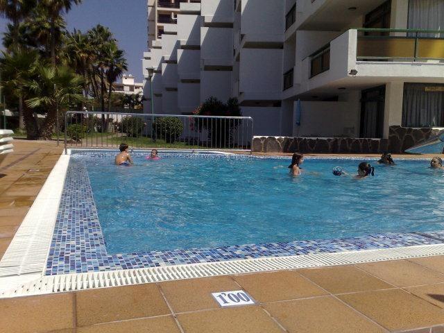 El Palmar