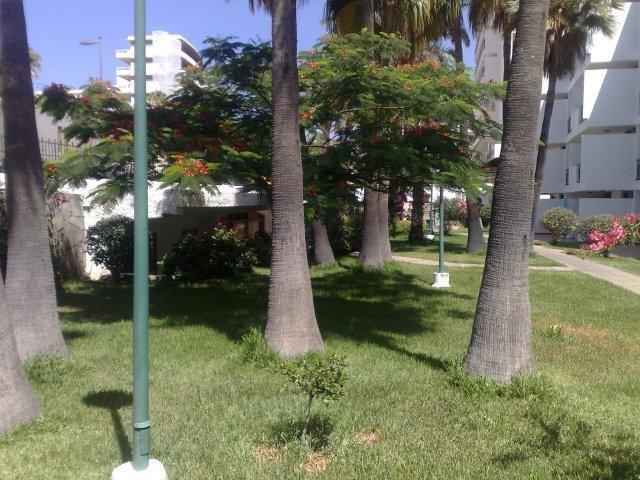 Apartamento El Palmar *