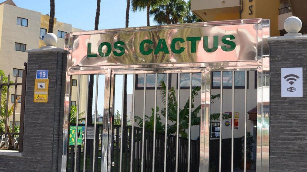 Cactus * Playa del Ingles (Gran Canaria)