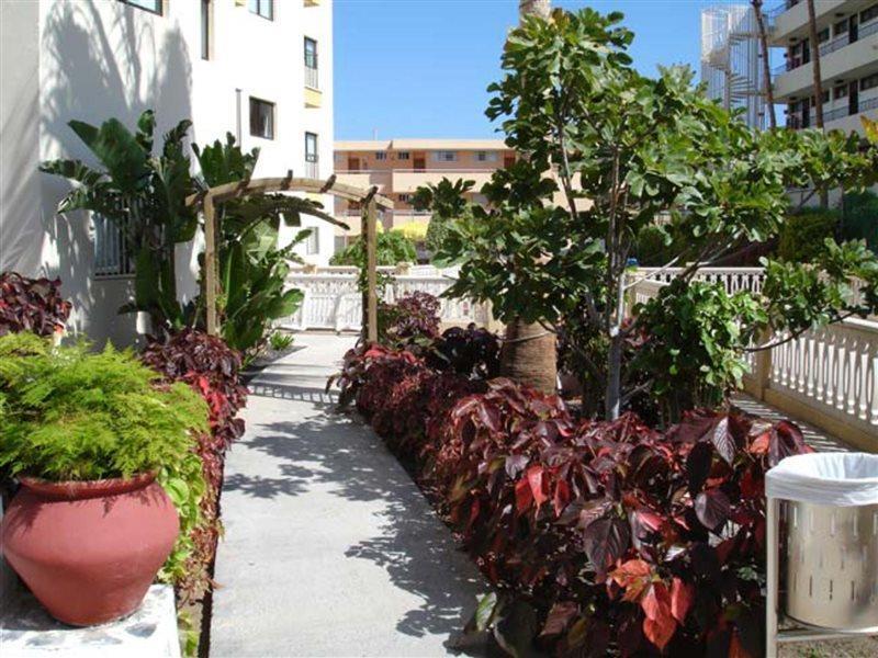 Ficus Playa Del Inlges Huoneisto *