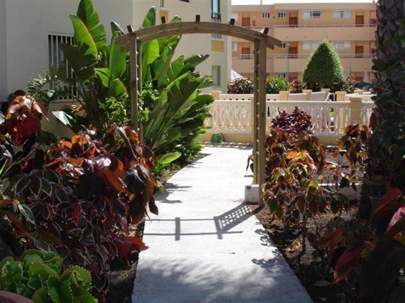 Ficus Playa Del Inlges * Playa del Inglés