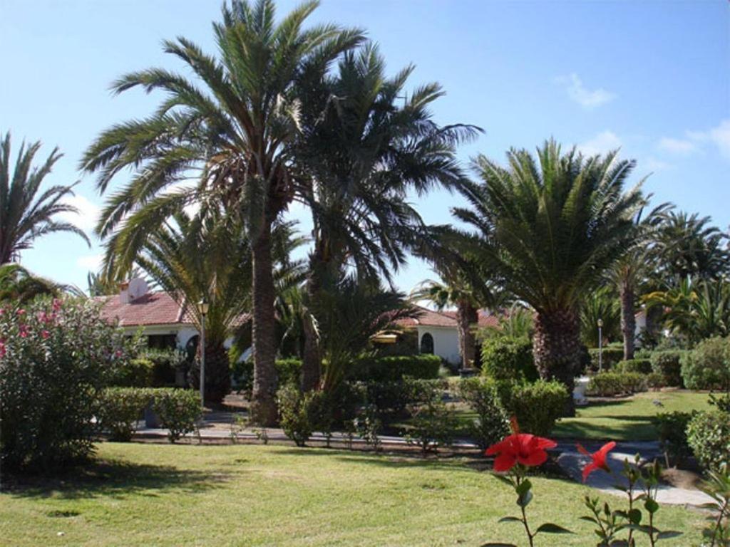 Hotel Sun Club Premium Playa del Inglés