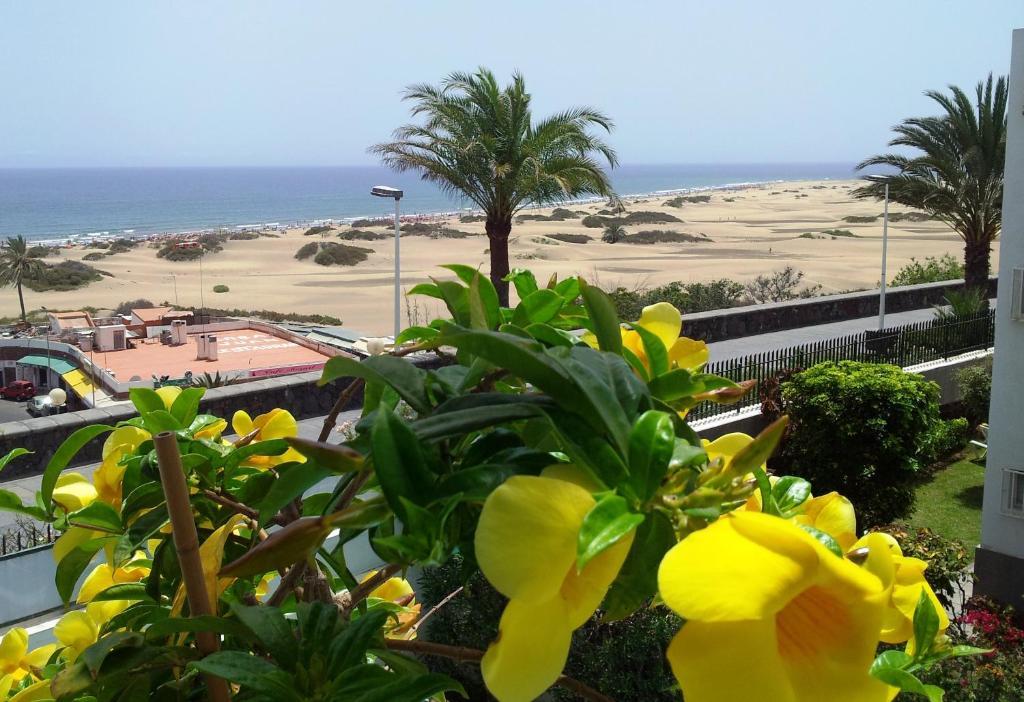 Huoneisto Alsol Don Palomon Playa del Inglés