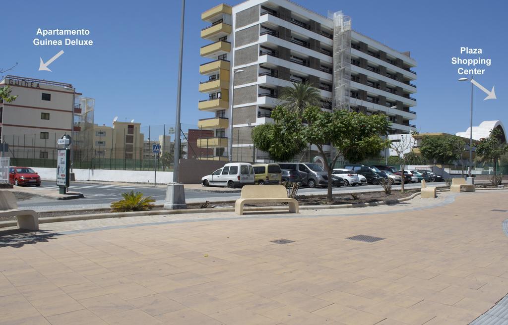 Guinea Flat - Appartement