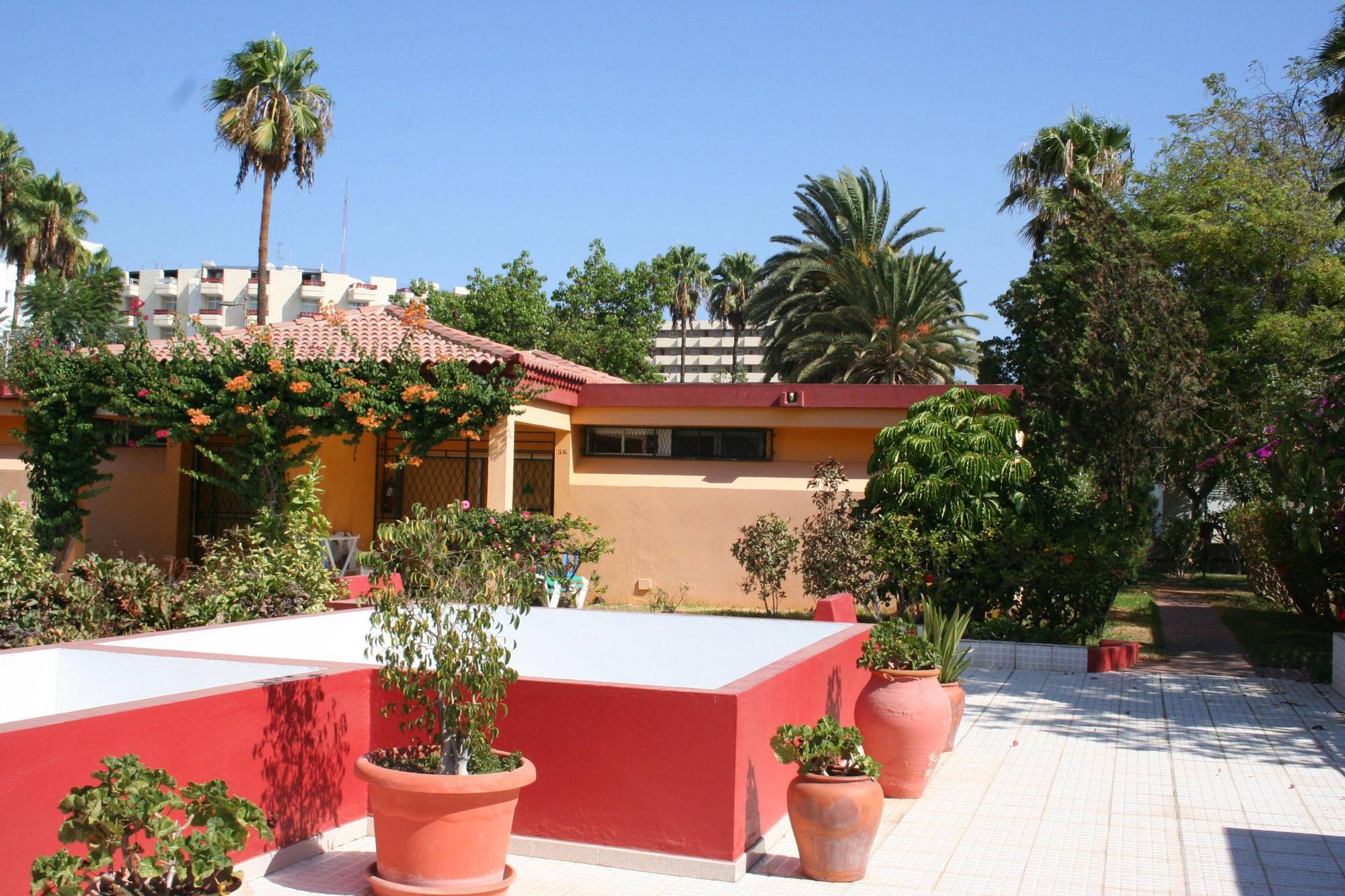 Artemisa Playa del Inglés