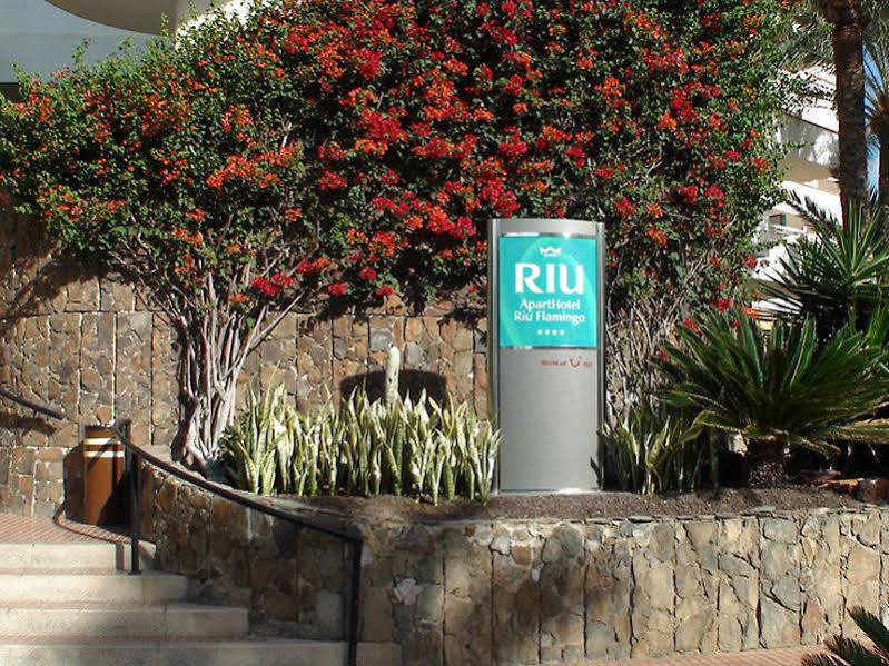 Riu Flamingo Hotel 4*