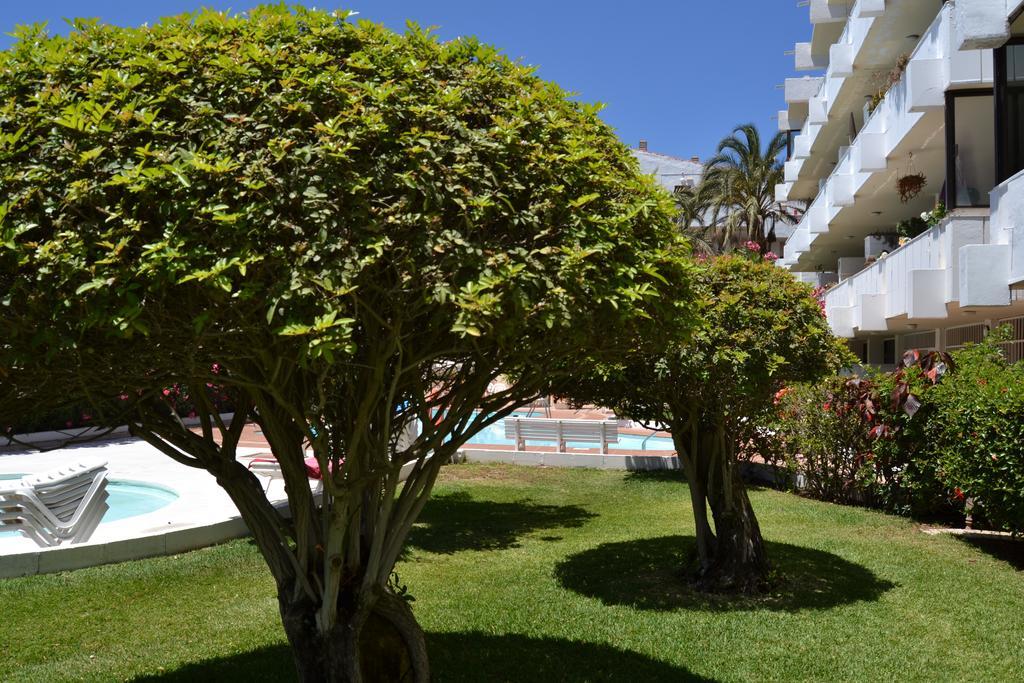 Apartment Don Quijote *