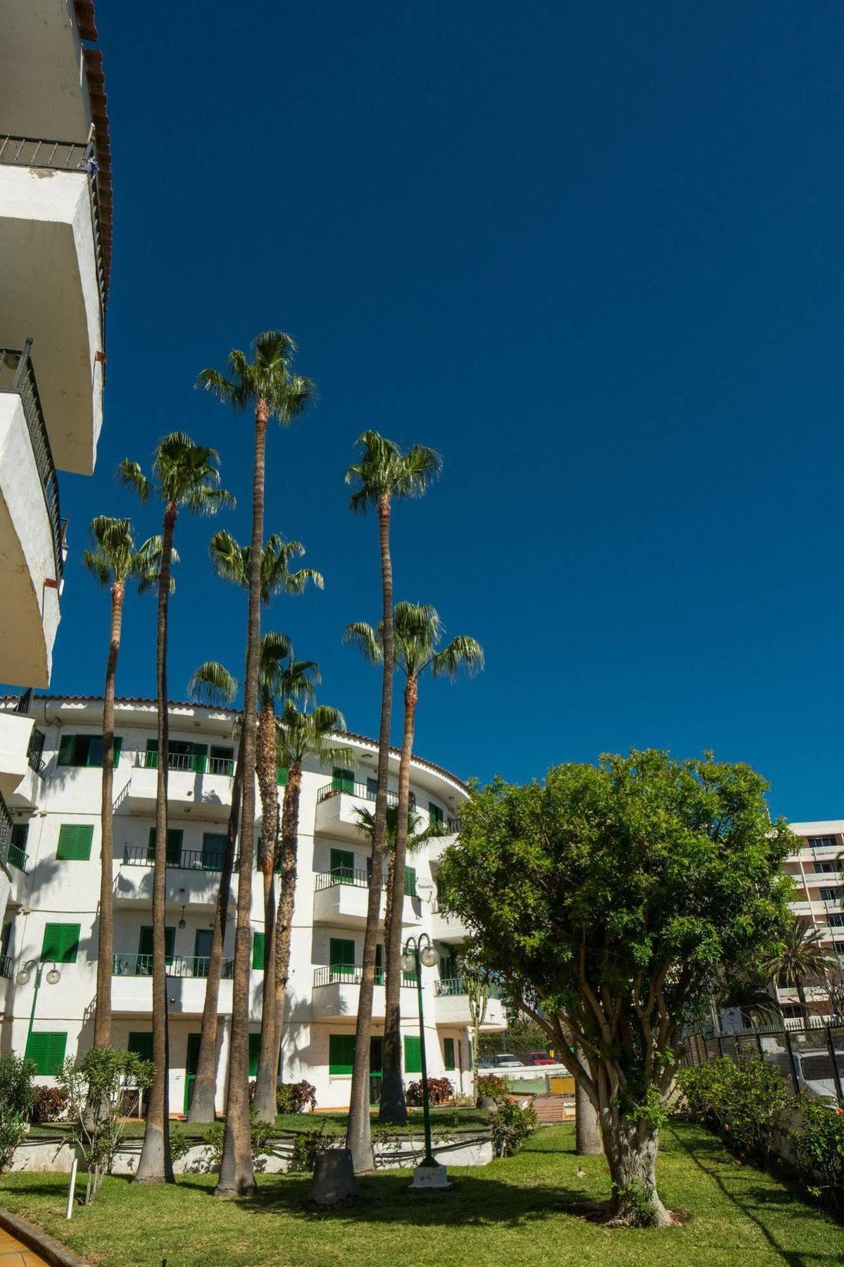 Apartment Faluas