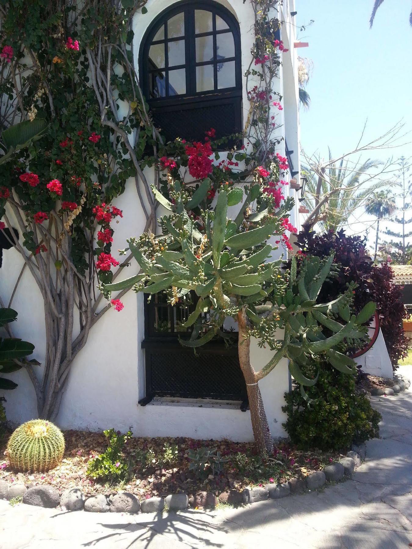 El Chaparral Apartment *
