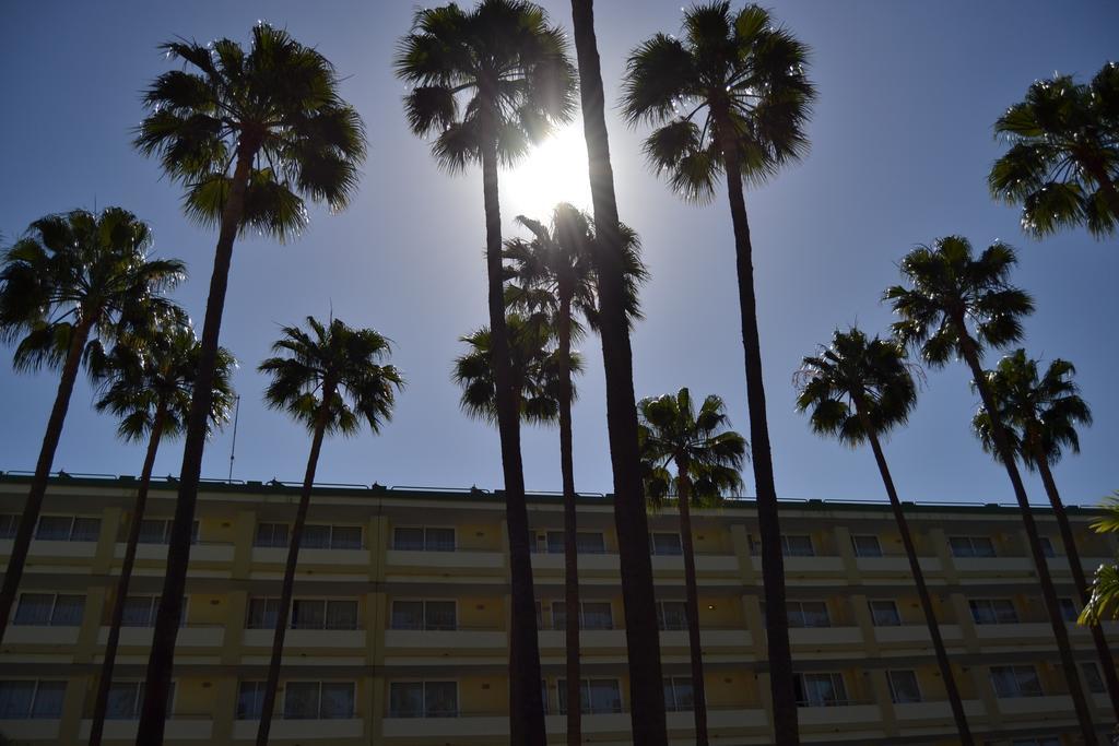 Apartamento Playa Del Sol - Solo Adultos *