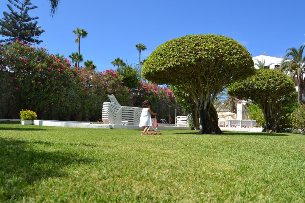 Apartment Don Quijote Playa del Ingles (Gran Canaria)