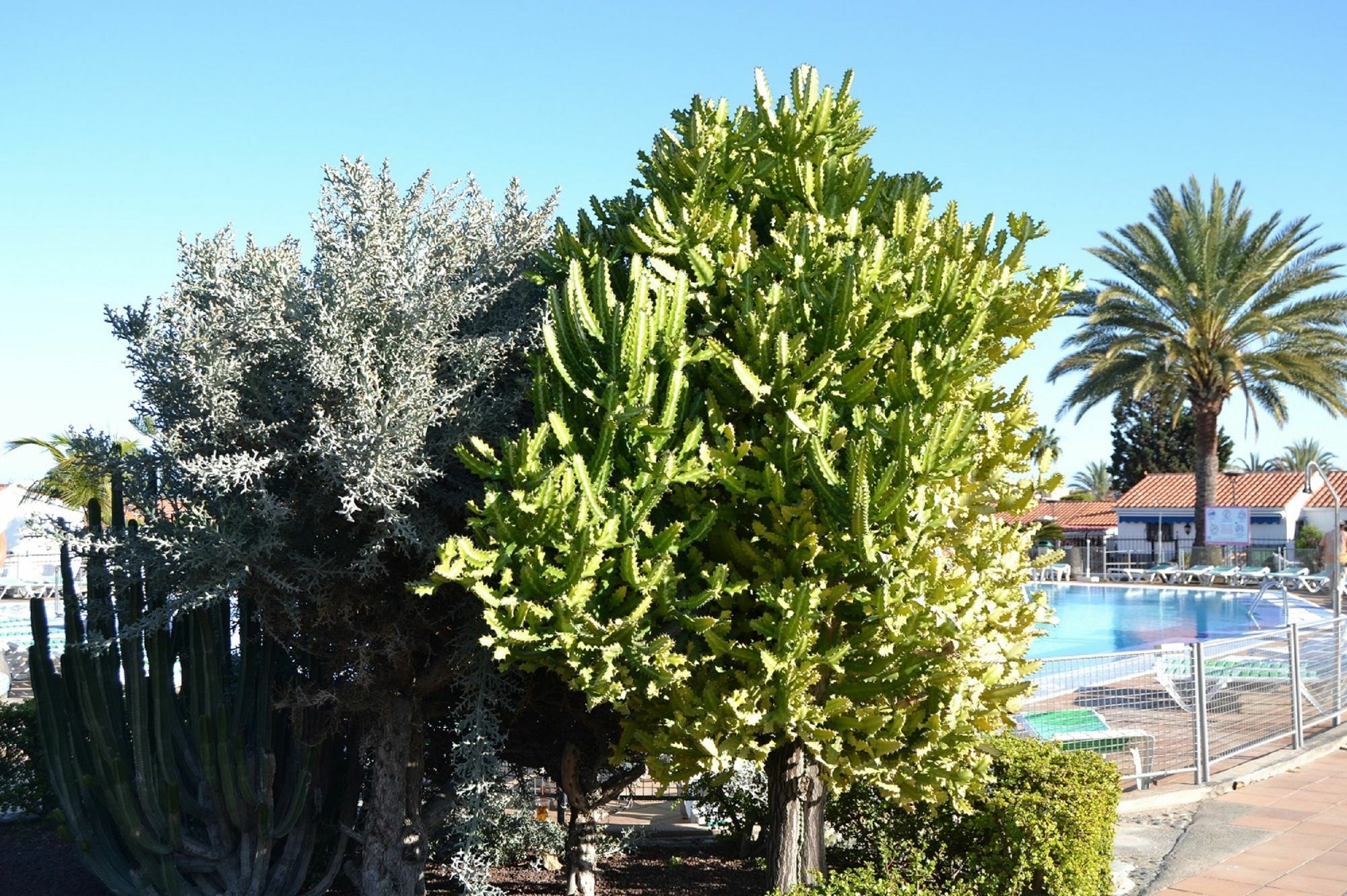 Apartment Plaing01 Playa del Ingles (Gran Canaria)