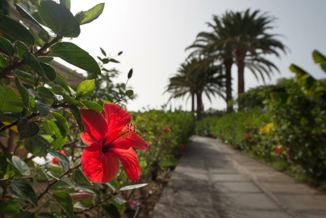 En Maspalomas, Melocotones * Playa del Ingles (Gran Canaria)