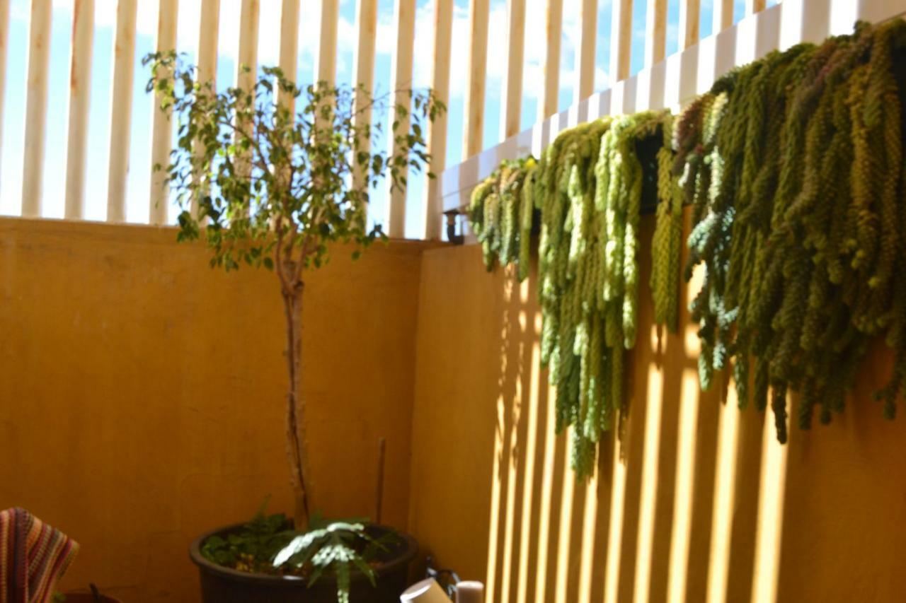 Hospedagem domiciliar Fano's House - En Vivienda Particular *