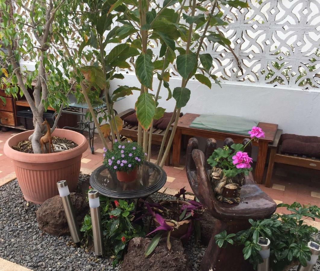 Heavens Garden House