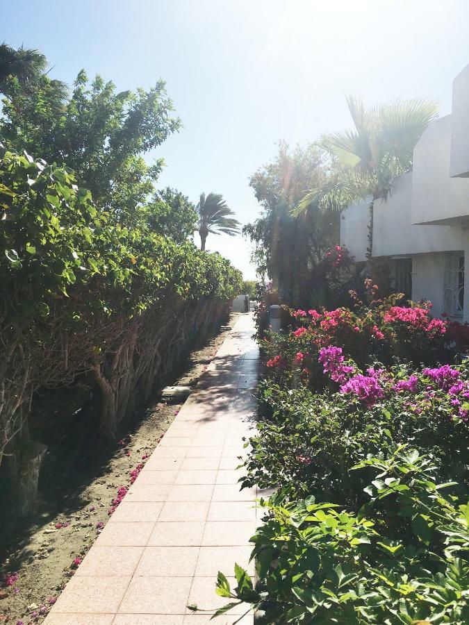 Luxury Bungalow Dunes Of Maspalomas - Gran Canaria * Playa del Inglés