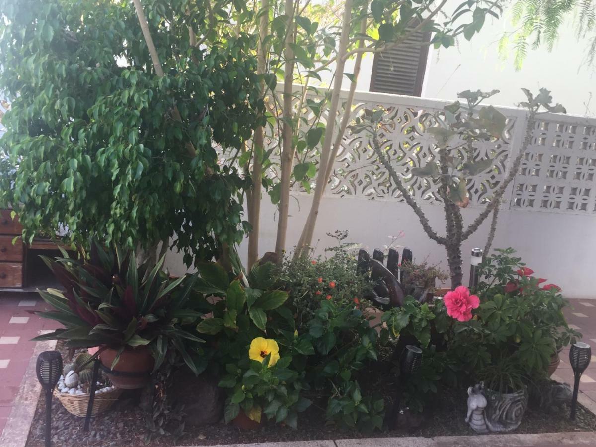 Holiday home Heavens Garden House *