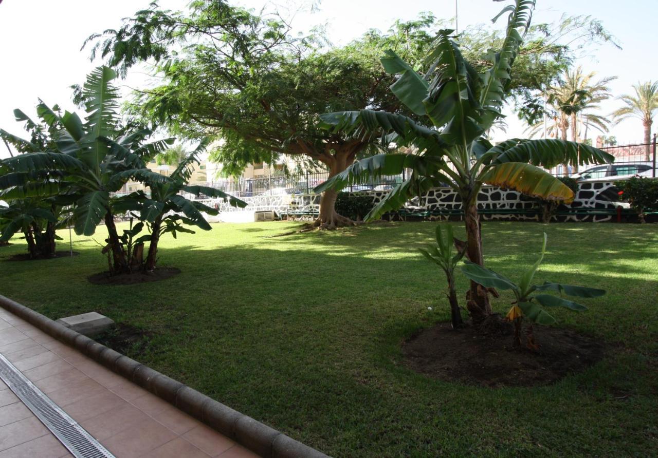 Apartment Fantastic With Sea Views Playa del Ingles (Gran Canaria)